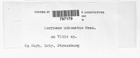 Image Associated With the Occurence
